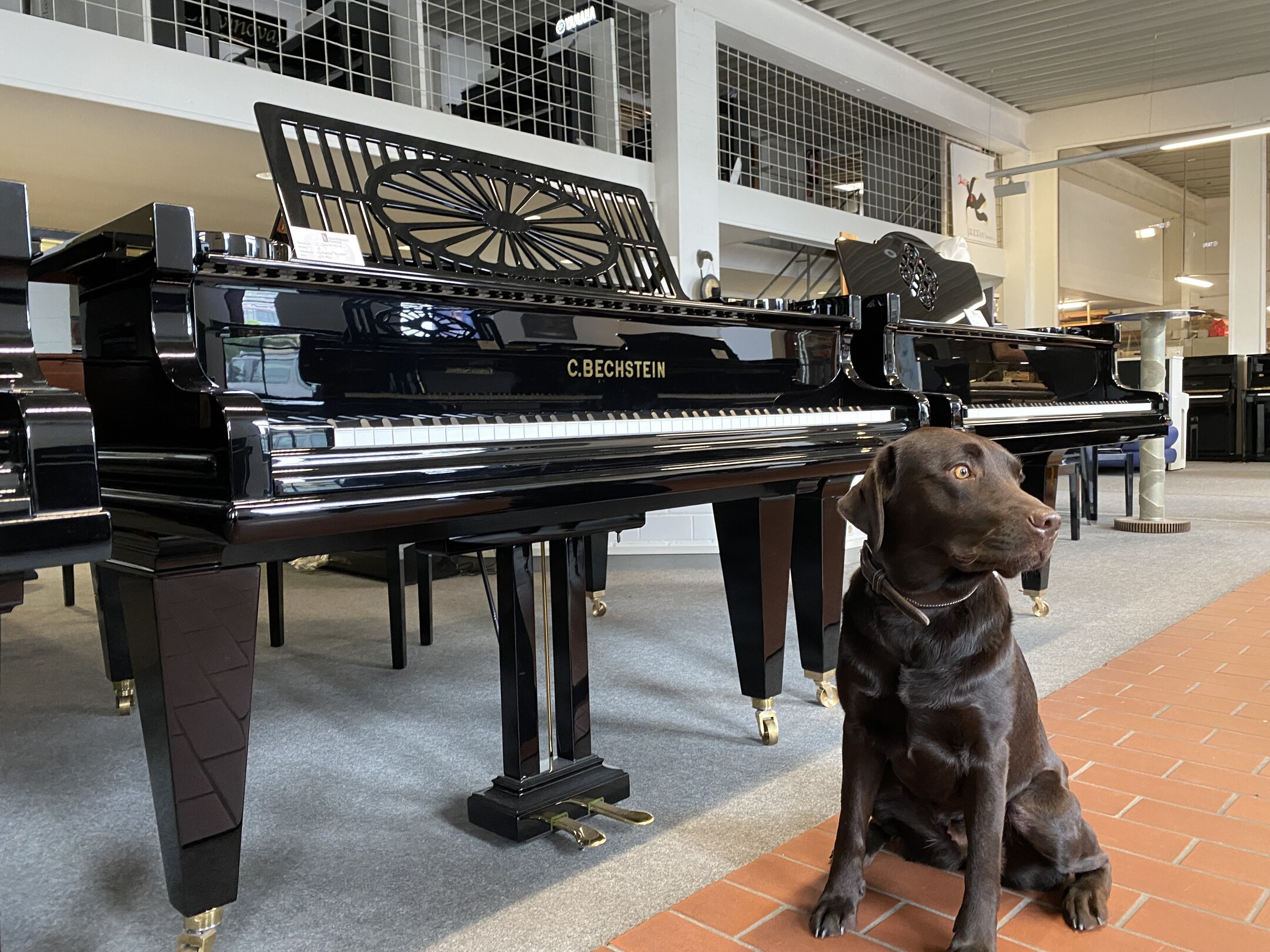 Bechstein A 185 von 1919 in Schwarz poliert