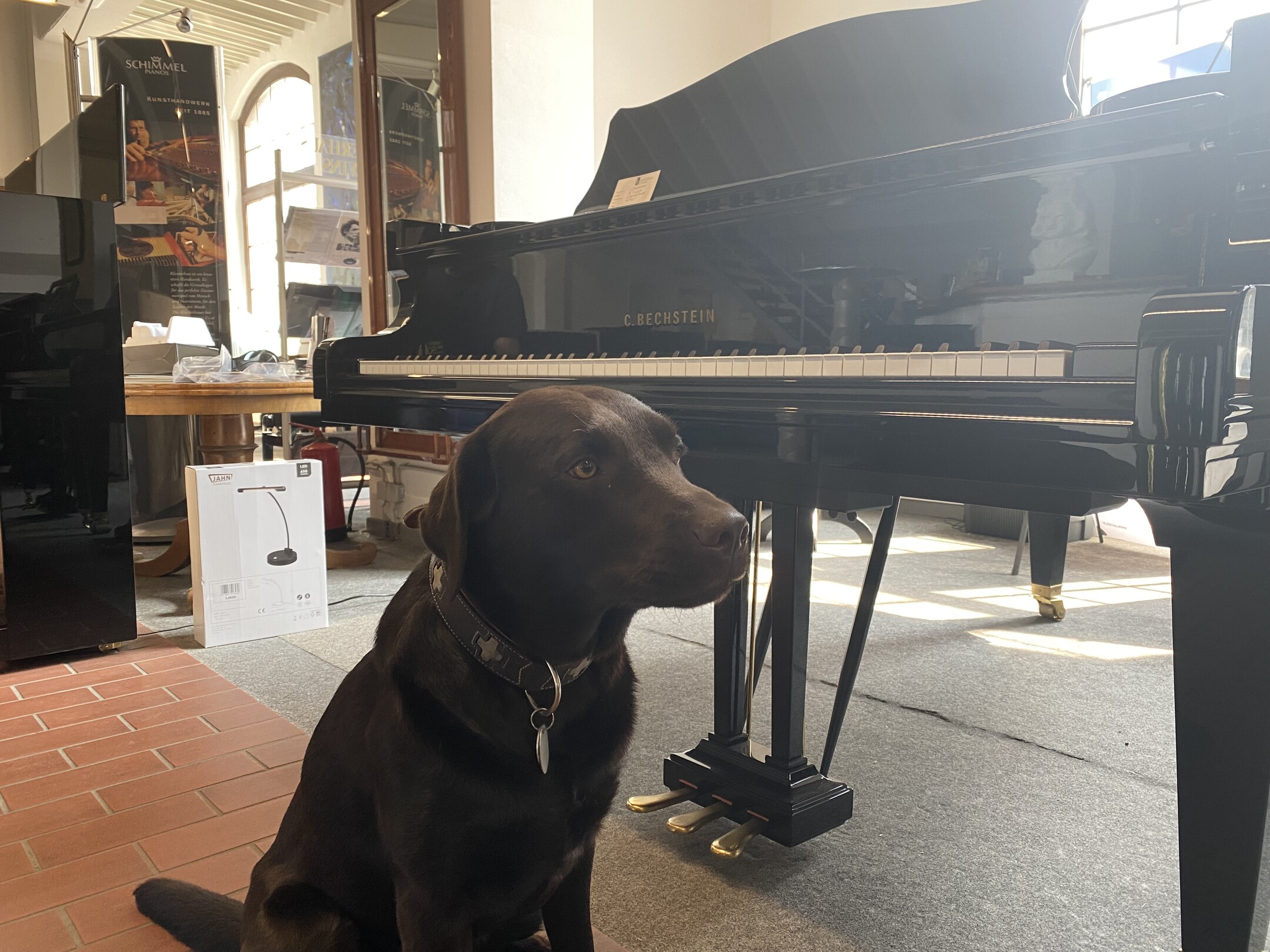 Bechstein B 210 von 2007 in Schwarz poliert